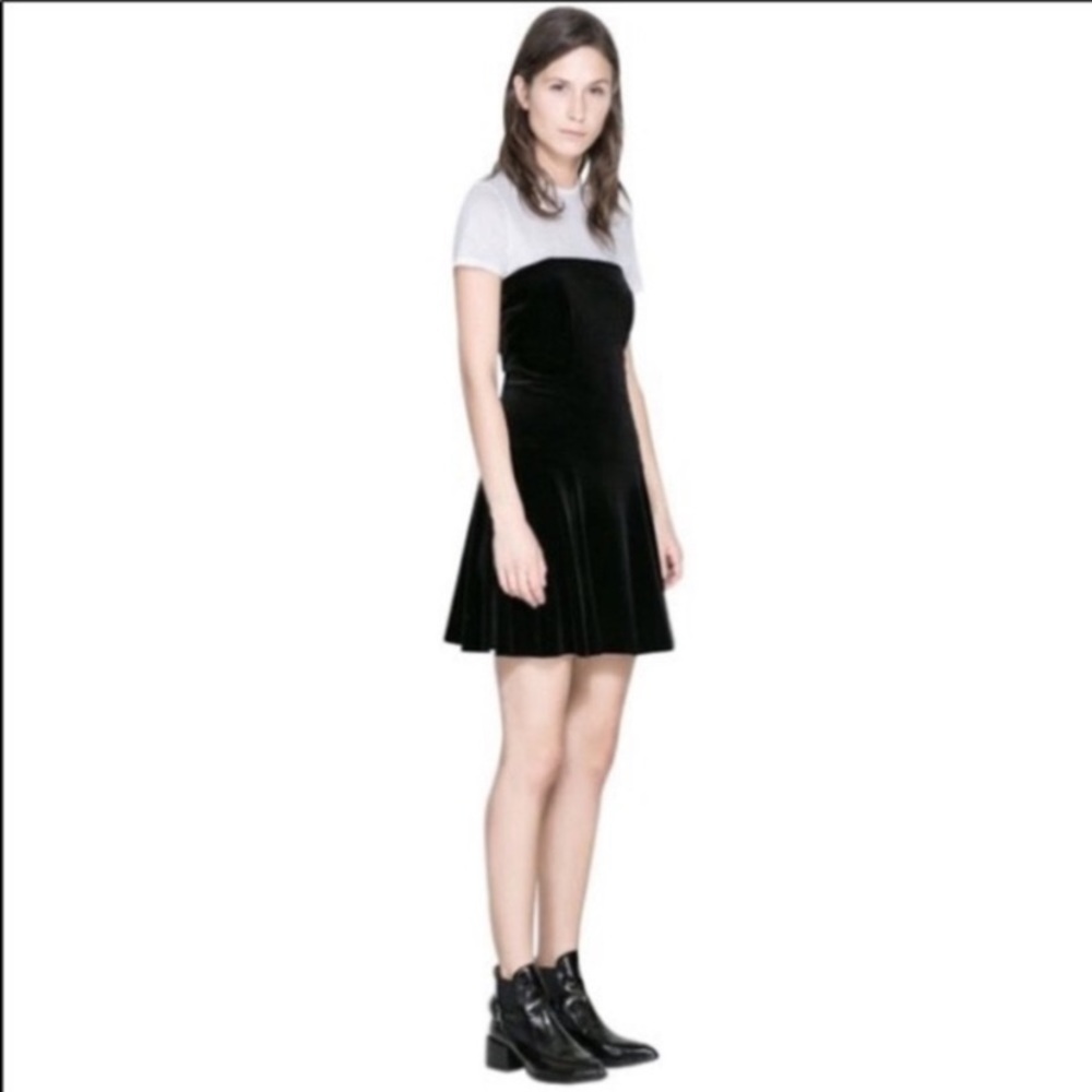 Zara Strapless Velour Dress